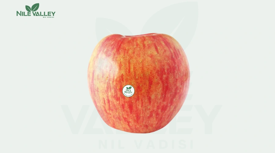 Red apple